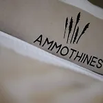 ホテル Ammothines