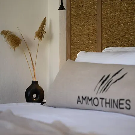 酒店 Ammothines *