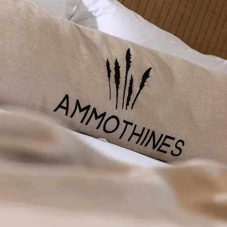 Ammothines Hotel Chrysi Ammoudia