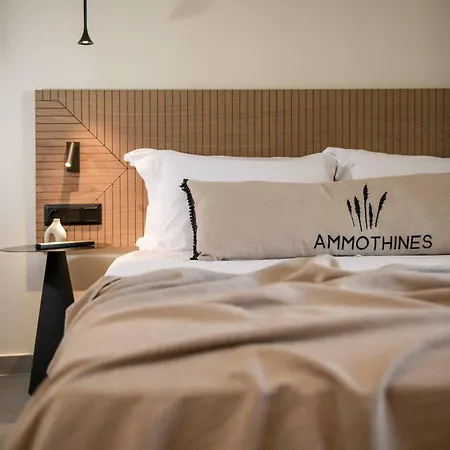 Hotel Ammothines Chrysi Ammoudia