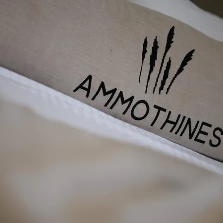 Hotel Ammothines
