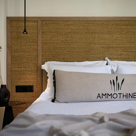 Hotel Ammothines *