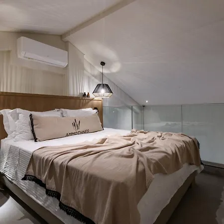 Hotel Ammothines *
