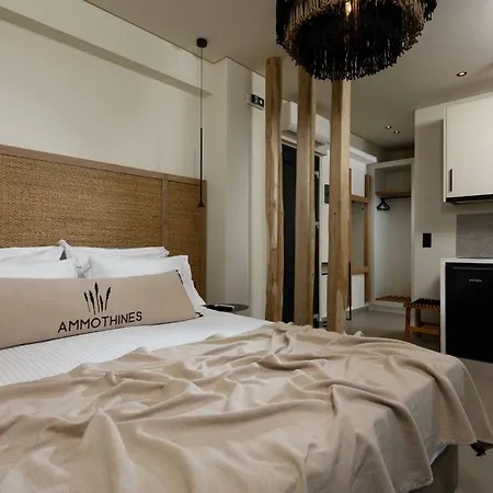 Ammothines Hotel Chrysi Ammoudia