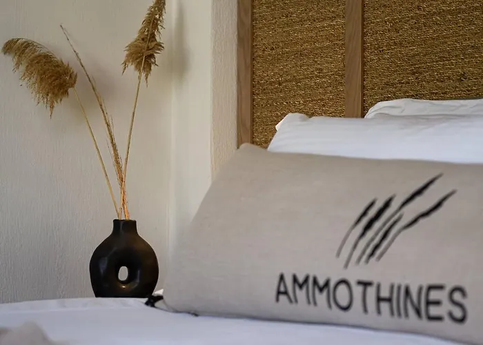 Otel Ammothines *