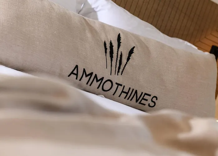 Ammothines Otel Chrysi Ammoudia