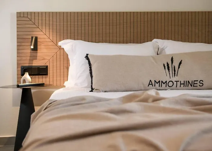 Otel Ammothines Chrysi Ammoudia