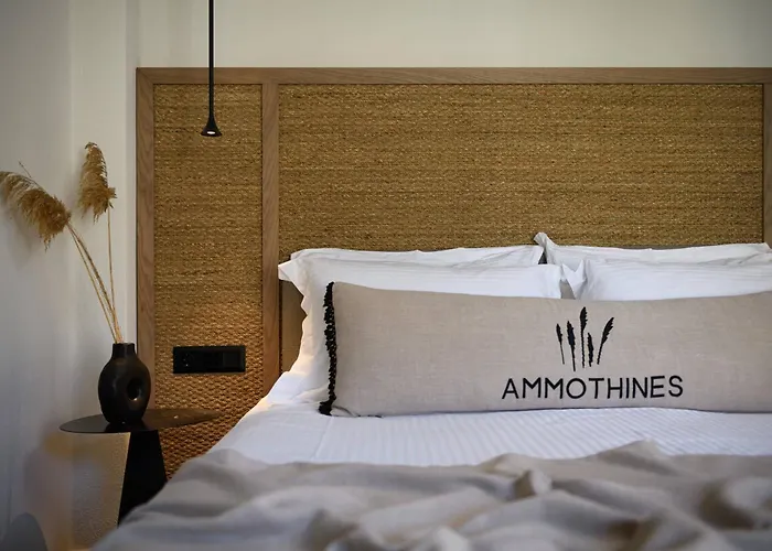 Otel Ammothines *