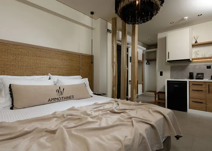 Ammothines Otel Chrysi Ammoudia
